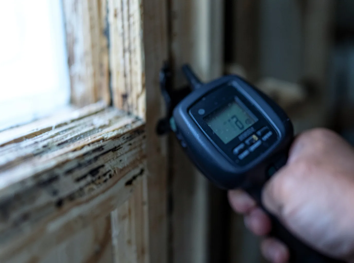 Commercial Water Damage Restoration in Hidalgo, IL